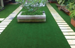 Artificial Grass Carpet Manufacturer in Varanasi